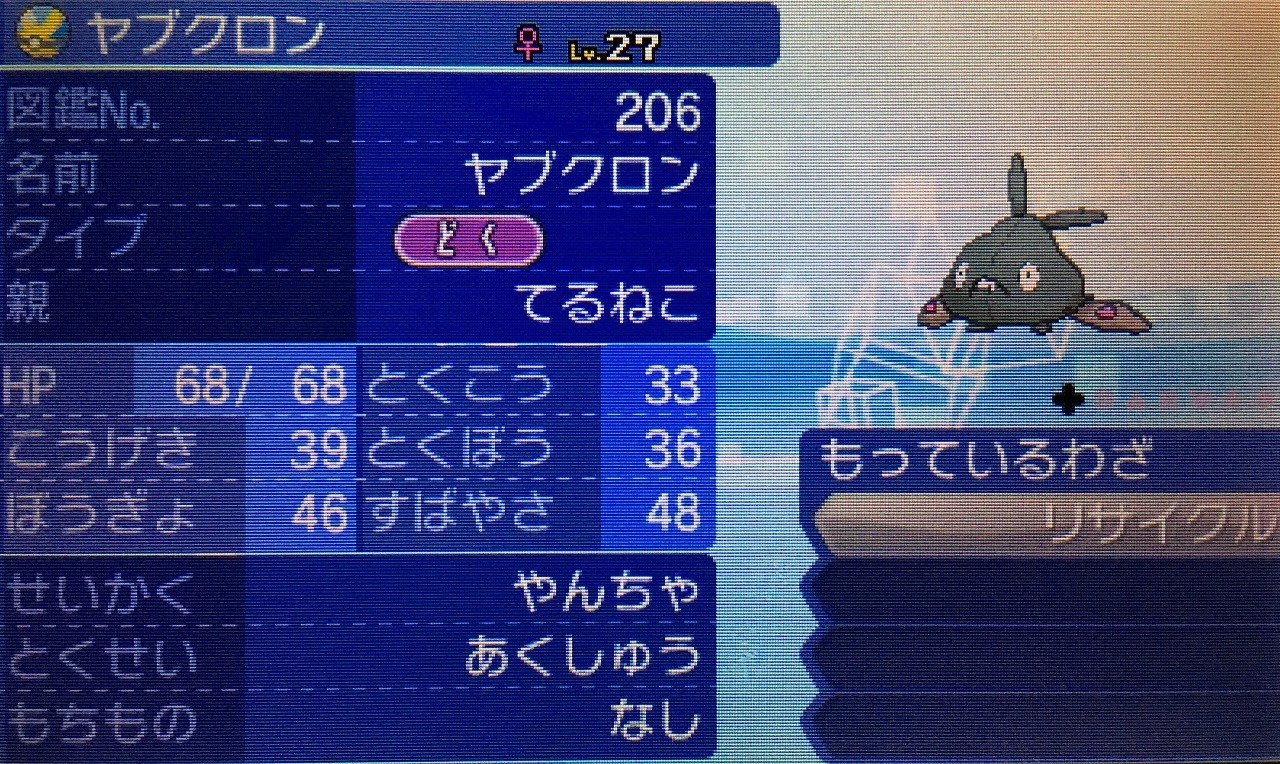 ポケモン サン ムーン 2 扉のむこうの物語